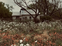 Abandoned Farm House Texas