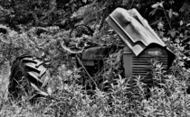 Abandoned Farmall Tractor SE Indiana 