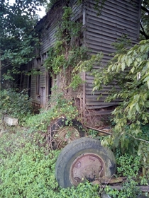 Abandoned farmhouse my wife and I found while hiking Pike County Indiana