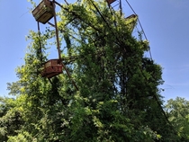 Abandoned Ferris Wheel at Lake Shawnee Amusement Park 
