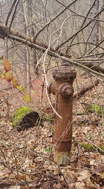 Abandoned fire hydrant PA