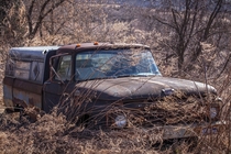 Abandoned  Ford f 