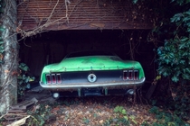Abandoned Ford Mustang