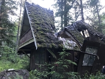 Abandoned forest service cabin