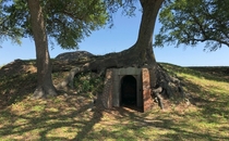 Abandoned Fort Jackson VeniceLA 