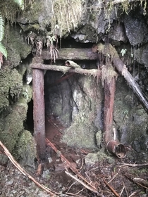 Abandoned Golden Gate Mine Shaft circa  Zeballos British Columbia 