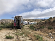 Abandoned Graffiti train