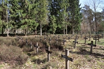 Abandoned graveyard for the lunatic Belgium