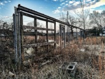 Abandoned Greenhouse - Fredericksburg VA 
