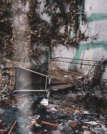Abandoned Grocery Carts Near An old Wall