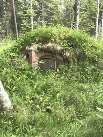 Abandoned hobbit hole