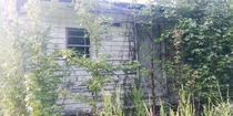 Abandoned home found being taken over by nature in Clanton Alabama
