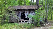 Abandoned home in Eastern Alabama 