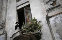 Abandoned home in Havana Cuba Photo Jonathan Ernst 