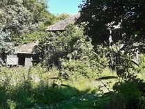 Abandoned house Dartmoor UK