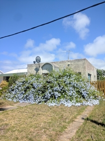 Abandoned house in La Paloma Uruguay
