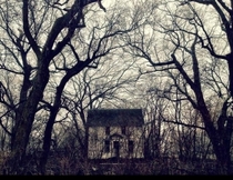 Abandoned house in the woods