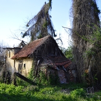 Abandoned house- nature taking over- Romania
