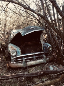 Abandoned  Hudson Hornet