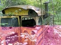 Abandoned into the wild style bus near Townsend TN
