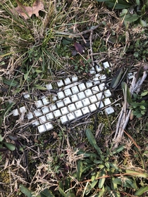 Abandoned keyboard in the middle of the forest taken by the ground