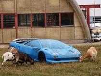 Abandoned Lamborghini
