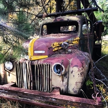 Abandoned Logging Truck Idaho