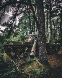 Abandoned MA tank