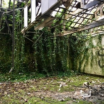 Abandoned mill in England