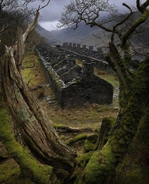 Abandoned miners cottages in a slate quarry in Snowdonia North Wales The quarry closed in  due to industry decline
