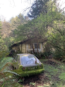 Abandoned Moss Car Crescent City CA