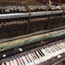 Abandoned piano Albany NY
