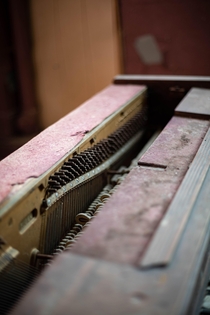 Abandoned Piano Has Played Its Last Tune