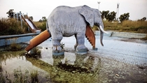 Abandoned pool with interesting elephant slide 