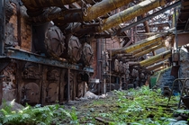 Abandoned power plant reclaimed bu nature 
