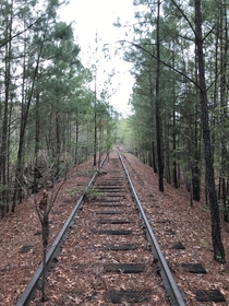 Abandoned railroad tracks that go on for a good bit Leading up to some old quarry ponds