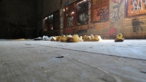 Abandoned rubber duck warehouse 