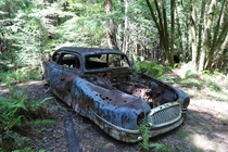 Abandoned s Nash Ambassador along an old logging road in Sam McDonald County Park California