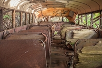 Abandoned school bus I came across in the woods  I believe its from the s  