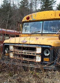 Abandoned School Buses - Vermont 