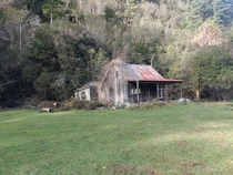 Abandoned settlement house NZ