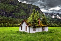 Abandoned shack in Norway 