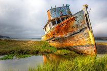 Abandoned Ship Point Reyes California 