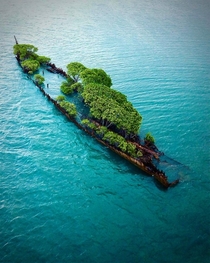 Abandoned ship wreck in Cockle Bay