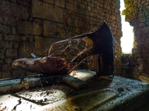 Abandoned Shoe