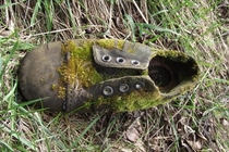 Abandoned shoe in the jungle