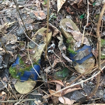 Abandoned Shoes a shoutout to a previous post