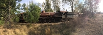 Abandoned steam locomotives