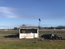 Abandoned strawberry stand - Northern California