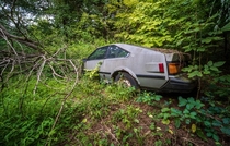 Abandoned Supra left to rot in the woods